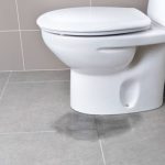 Recherche de fuite d'eau : des solutions de pointe pour les habitations du canton de Vaud