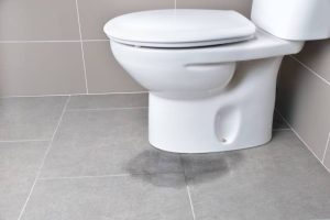 Recherche de fuite d'eau : des solutions de pointe pour les habitations du canton de Vaud